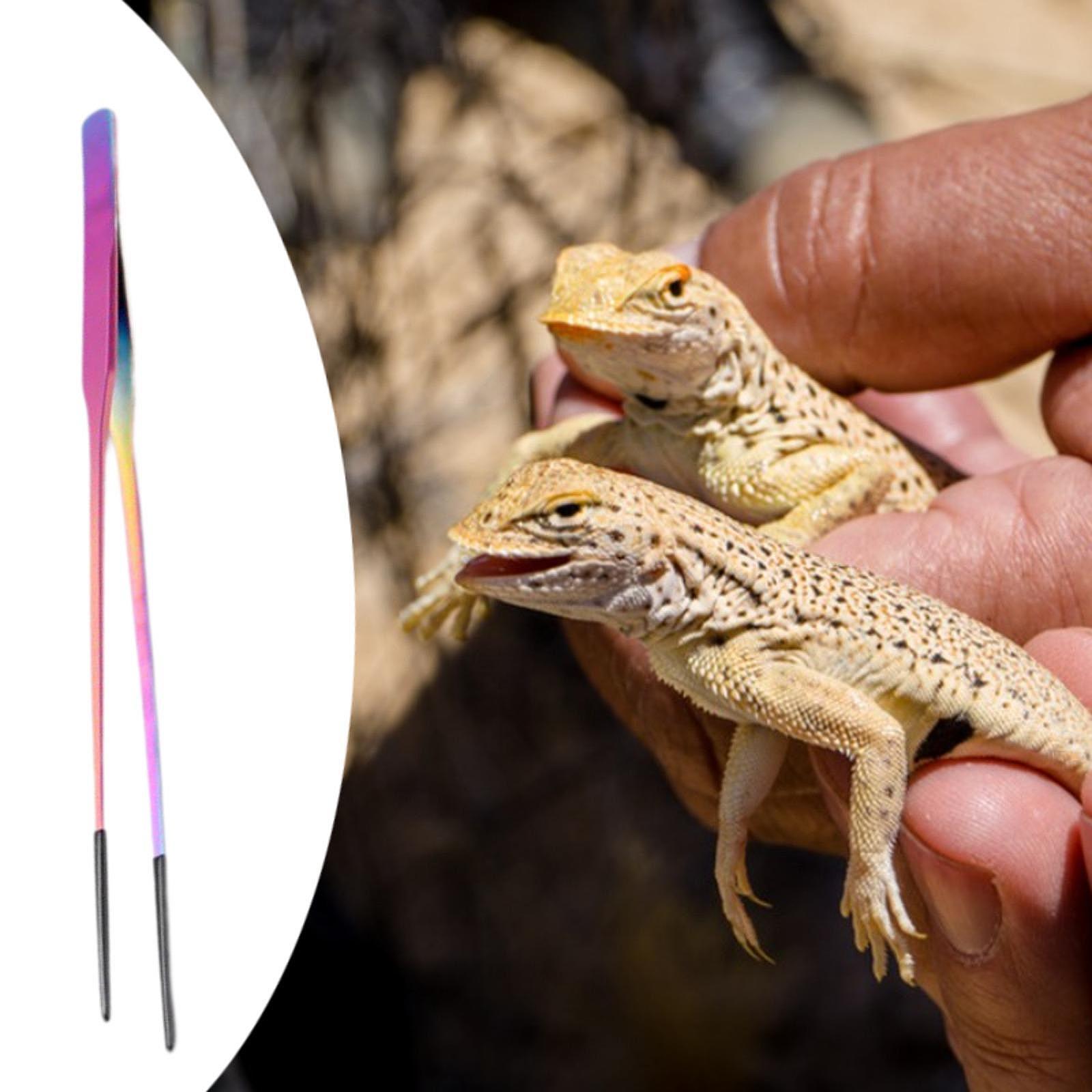 Planted Aquarium Tips - Reptile Feeder Tongs with Silicone Tip