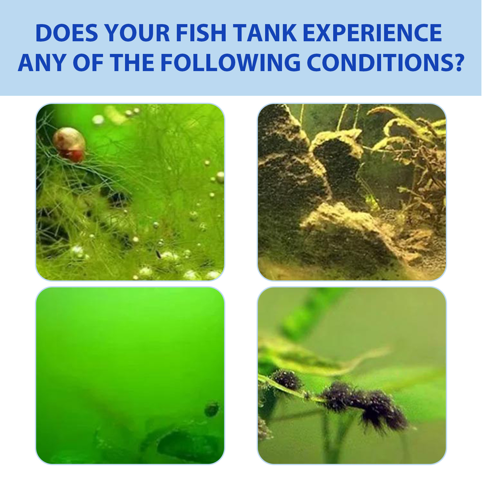Biological Aquarium Algae Cont - огляд і ціна Planted Aquarium Algae Control