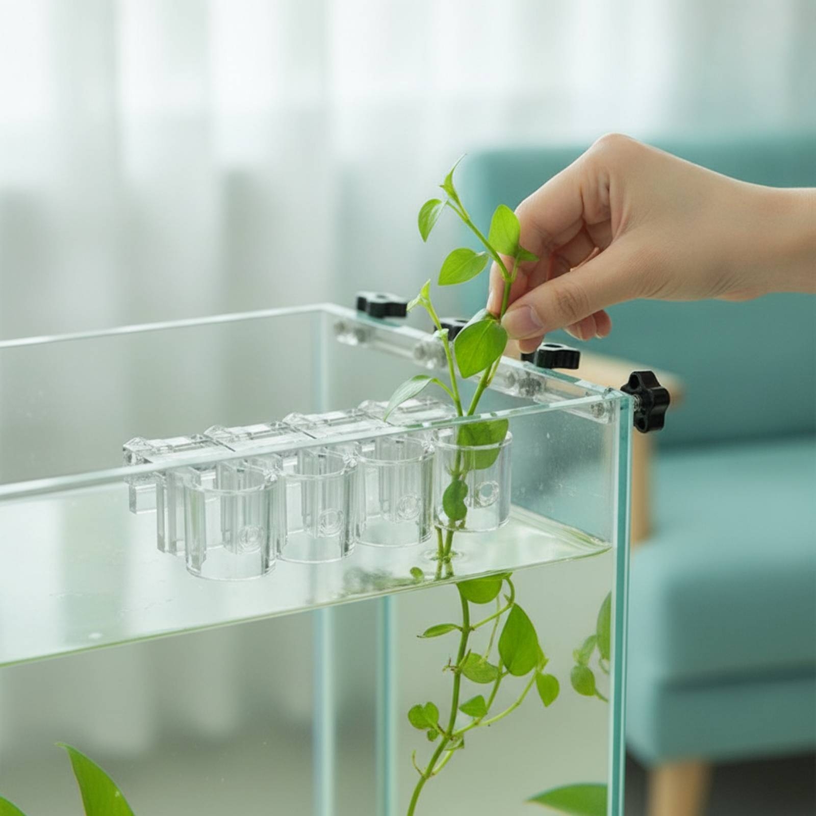 6 Pieces Aquarium Planter Clea - огляд і ціна Aquarium Planted