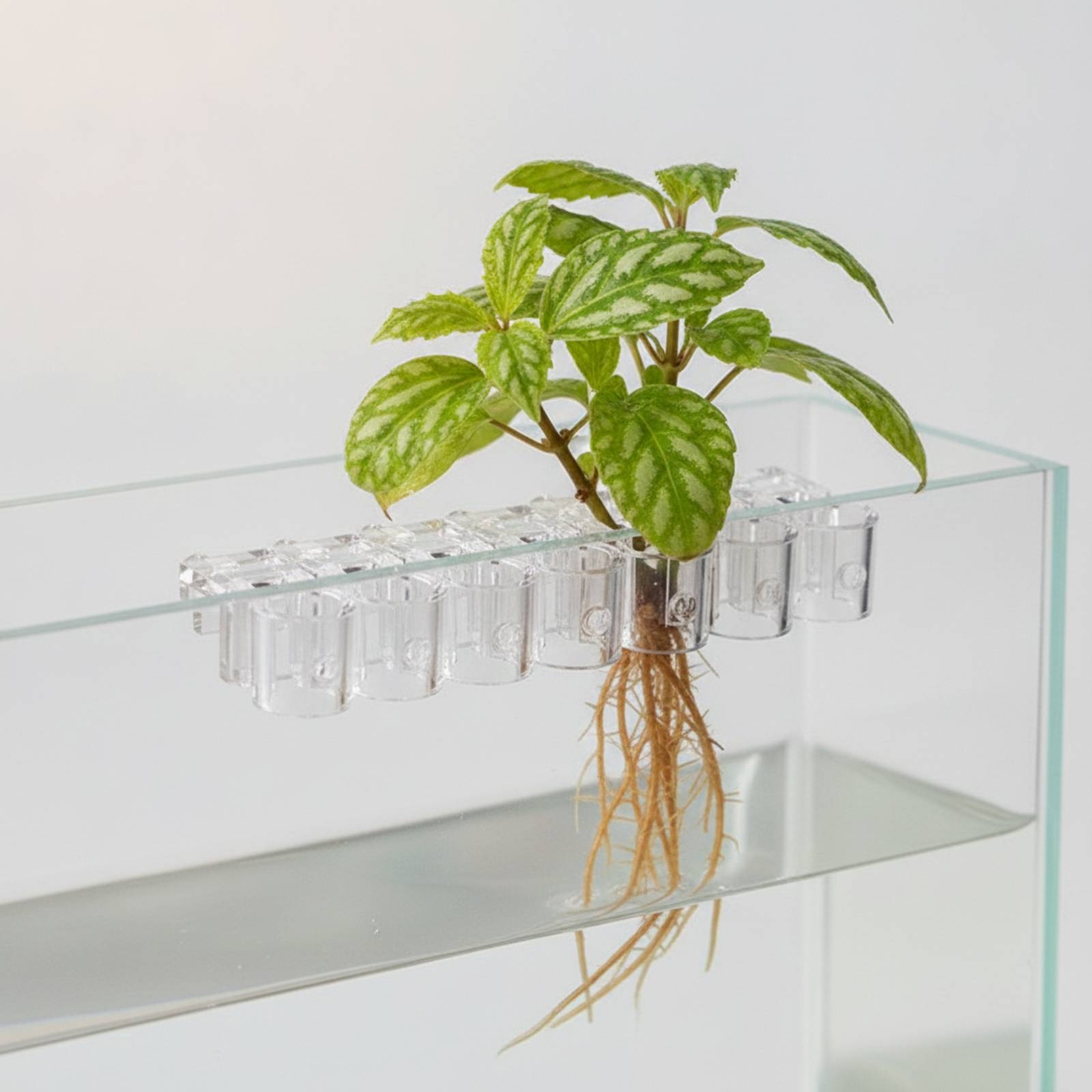 6 Pieces Aquarium Planter Clea - огляд і ціна Aquarium Planted