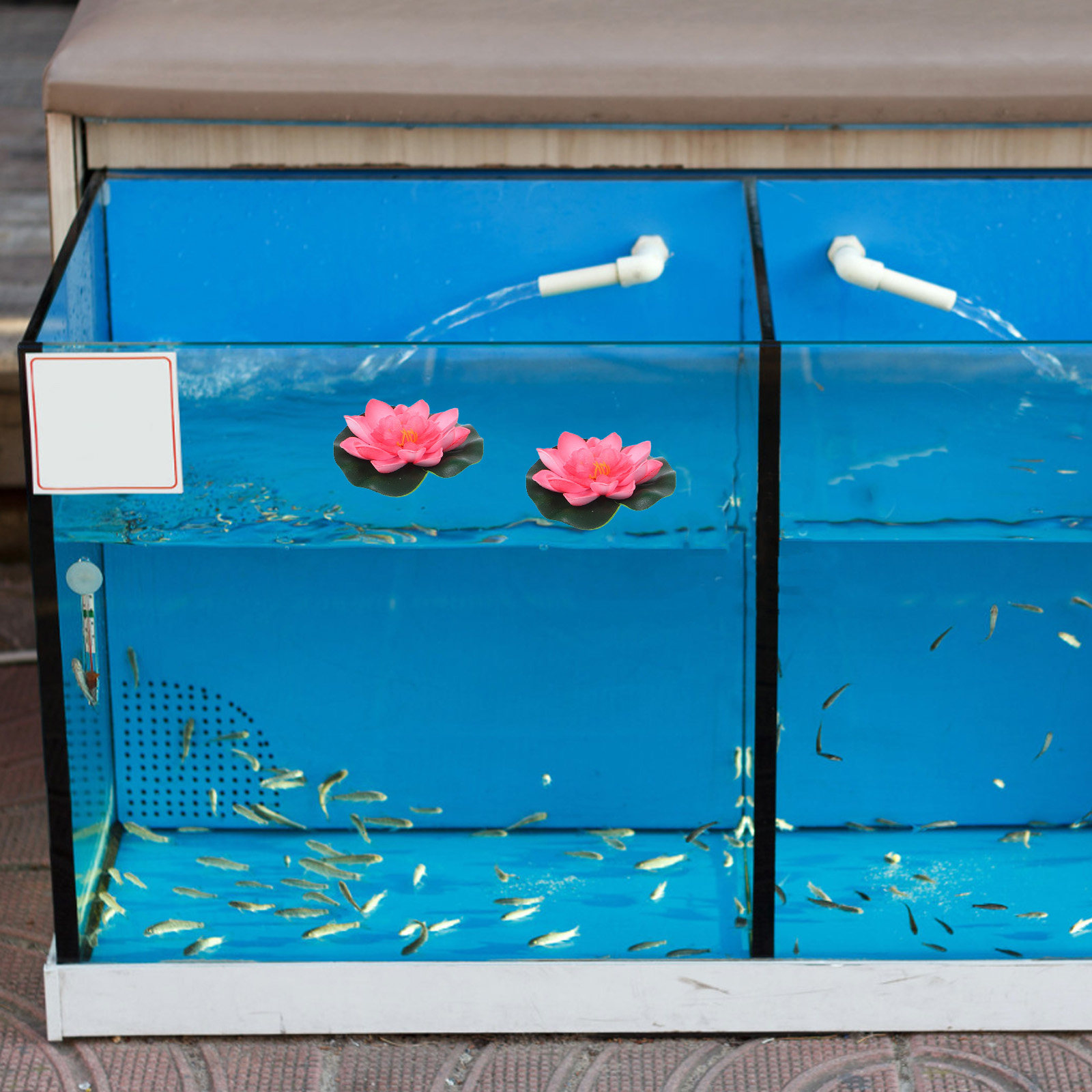 12Pcs Artificial Floating Wate - огляд і ціна Aquarium Planted