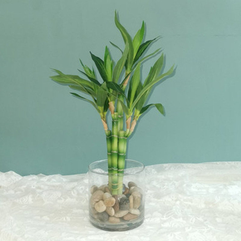 New 40cm rFtificial Lucky Bamb - огляд і ціна Aquarium Plant Display