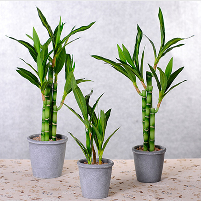New 40cm rFtificial Lucky Bamb - огляд і ціна Aquarium Plant Display
