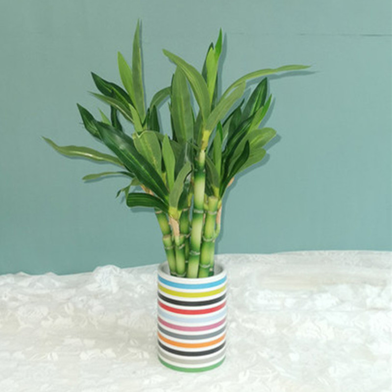 New 40cm rFtificial Lucky Bamb - огляд і ціна Aquarium Plant Display