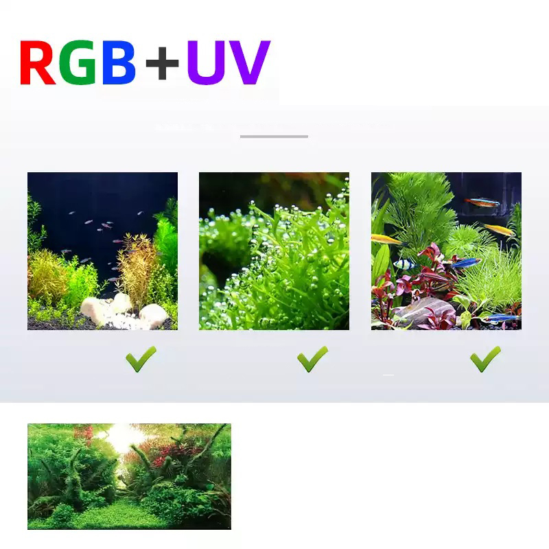 Week Aqua L Series WRGB UV Ful - огляд і ціна Planted Aquarium Uv Light
