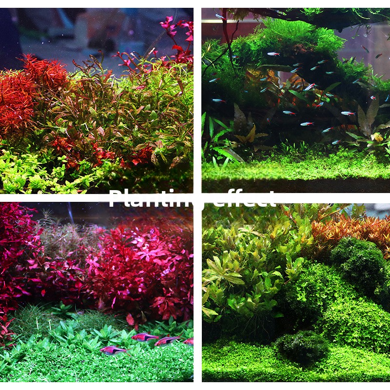 SYSENCIAGA Planted Aquarium Su - огляд і ціна Planted Aquarium Fertilizer