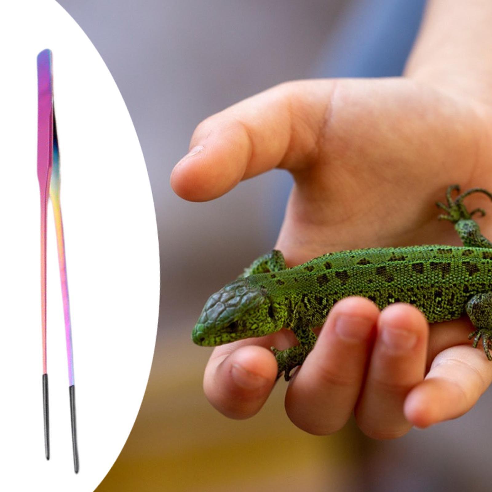 Reptile Feeding Tongs Soft Tip - огляд і ціна Planted Aquarium Tips