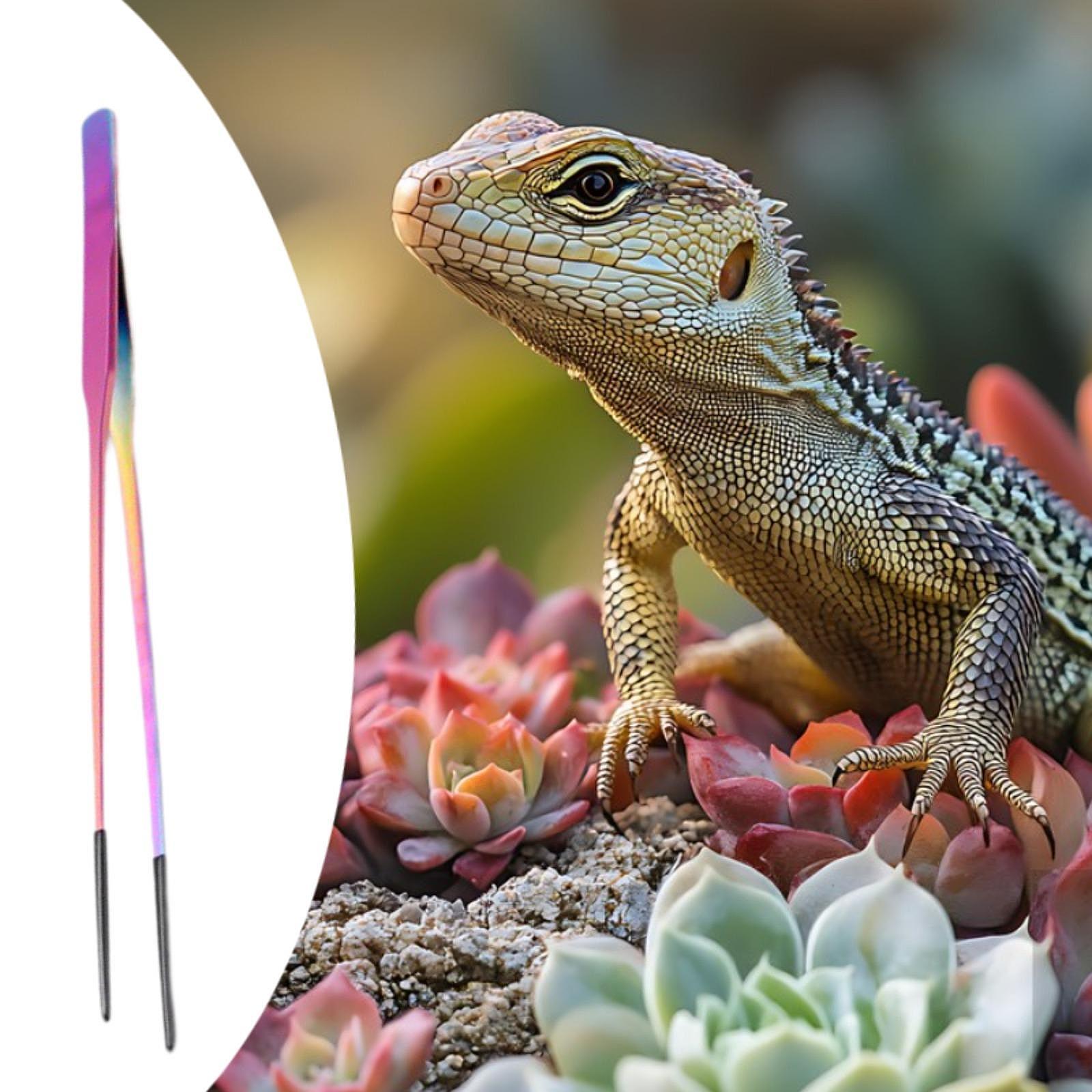Reptile Feeding Tongs Soft Tip - огляд і ціна Planted Aquarium Tips