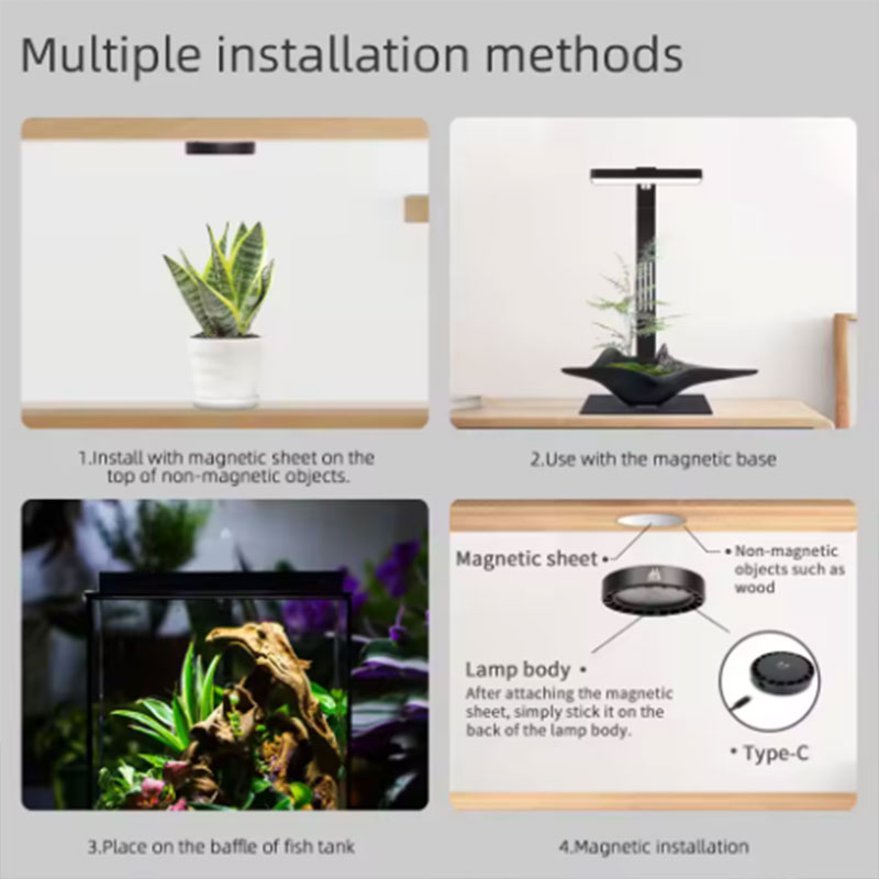 WEEK AQUA Mag Pro Mag Max Nano - огляд і ціна Aquarium Plant Display