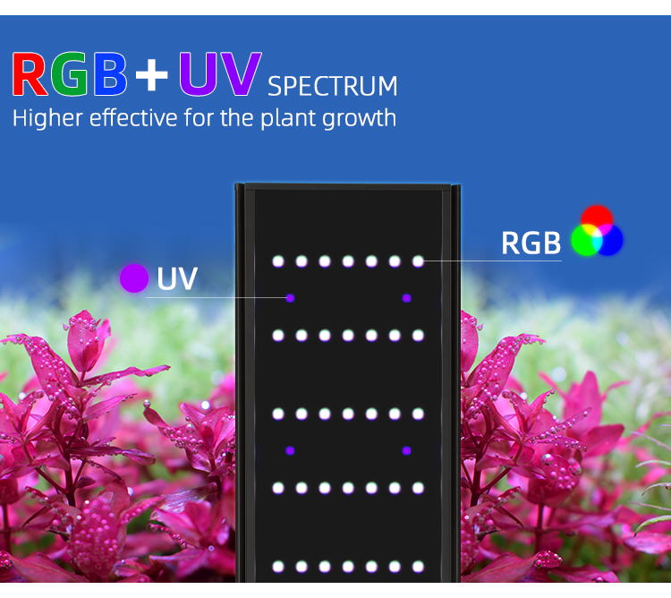 WEEK AQUA L Series APP Control - огляд і ціна Aquarium Plant Display