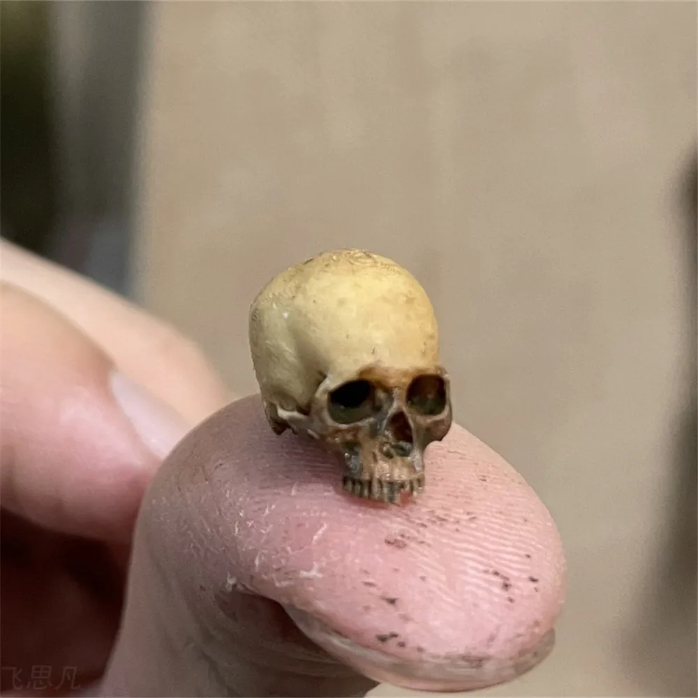 Mini Skull High Quality Miniat - огляд і ціна Aquarium Plant Display