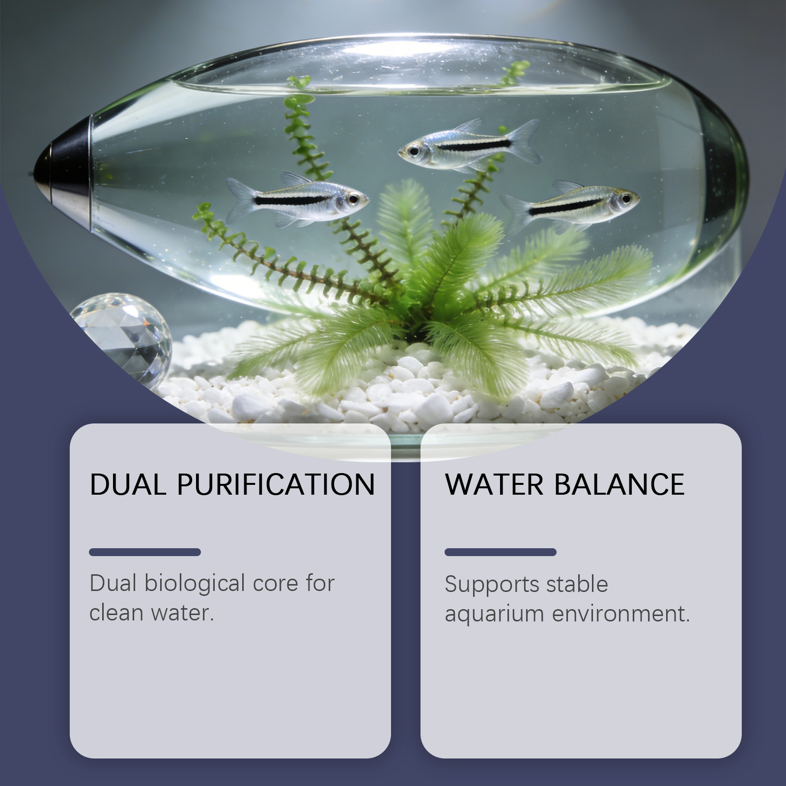 Algae Remover Tablets for Aqua - огляд і ціна Planted Aquarium Algae Control