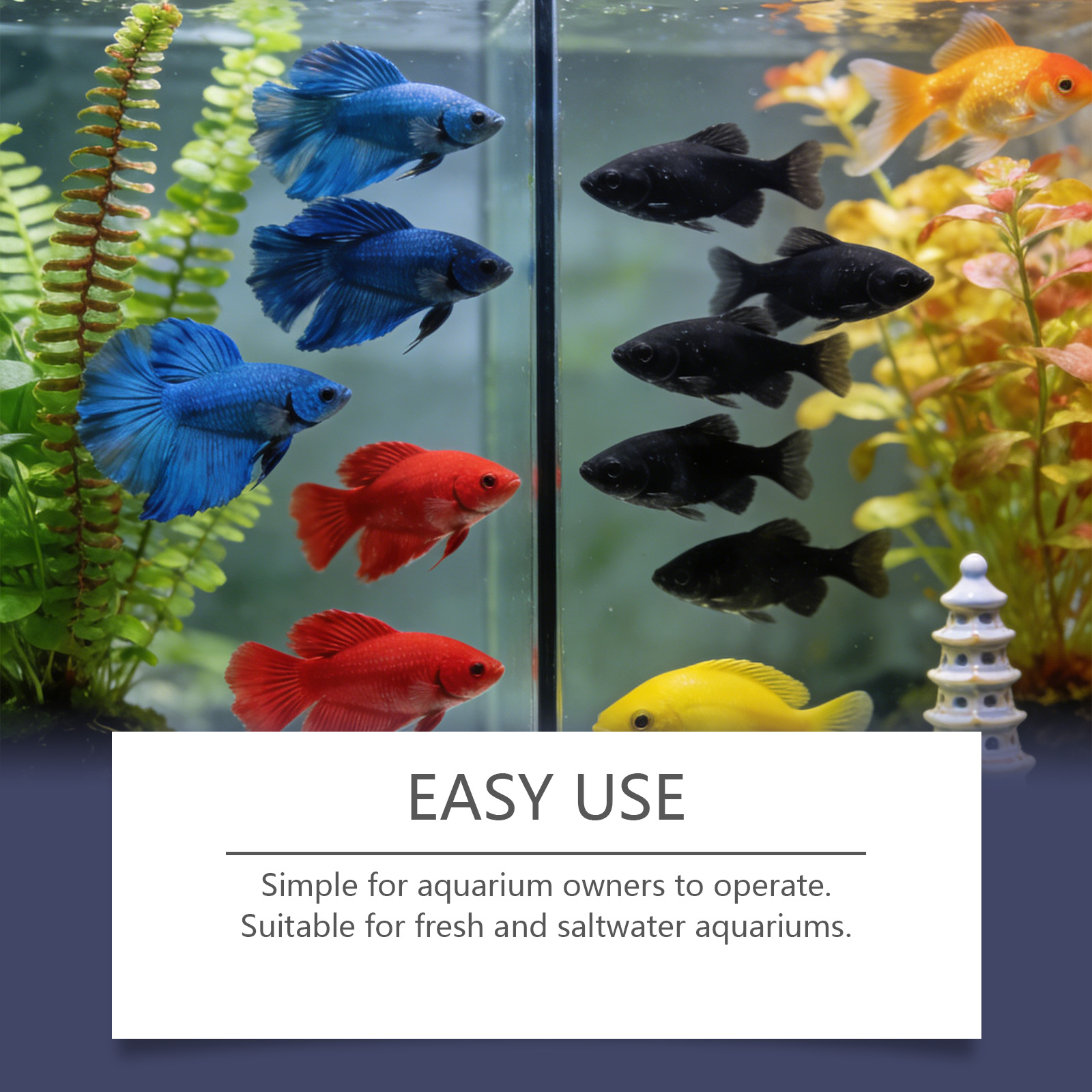 Algae Remover Tablets for Aqua - огляд і ціна Planted Aquarium Algae Control