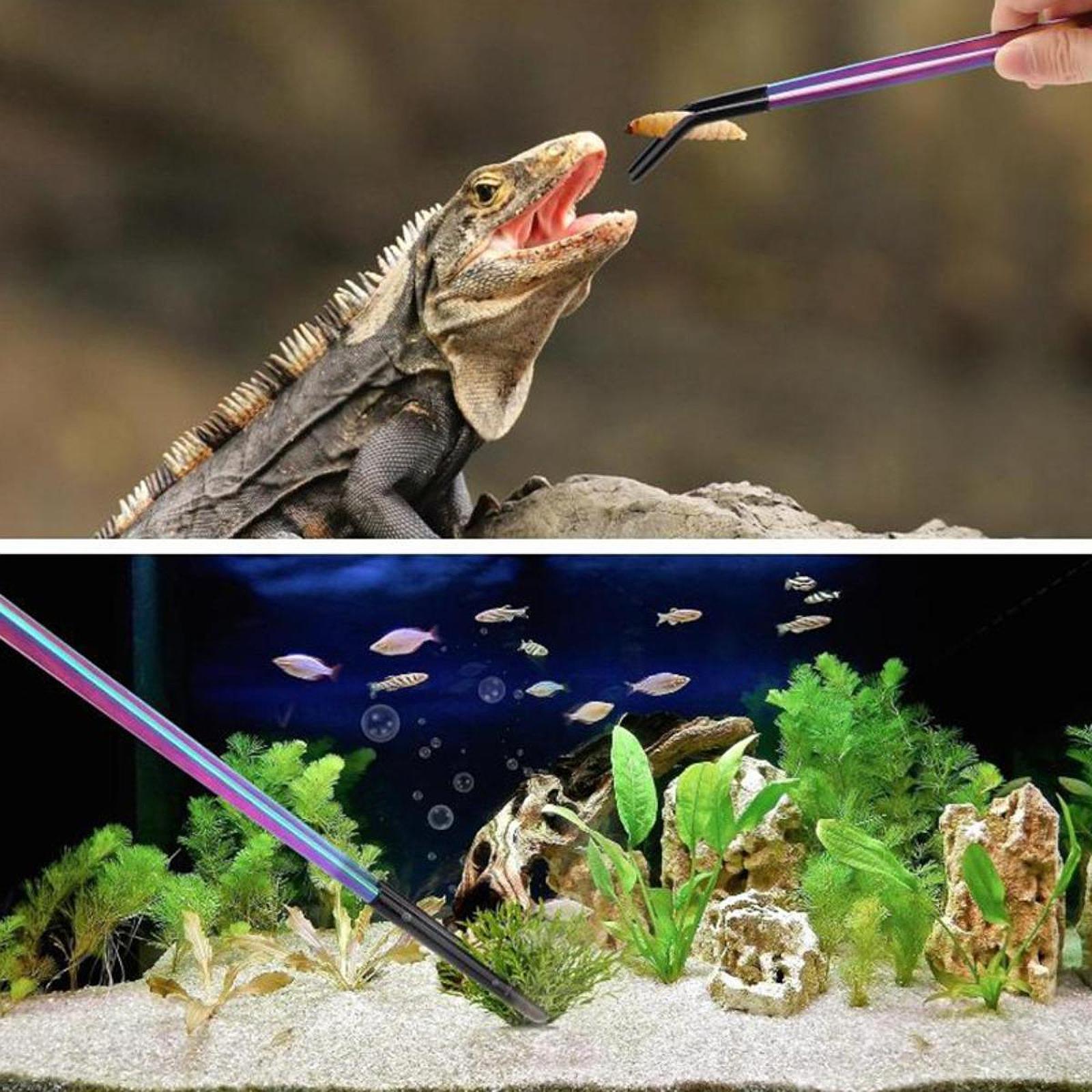 Reptile Feeder Tongs with Sili - огляд і ціна Planted Aquarium Tips