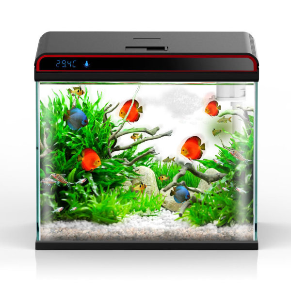 Sunsun 4-in-1 Aquarium Water C - огляд і ціна Planted Aquarium Algae Control