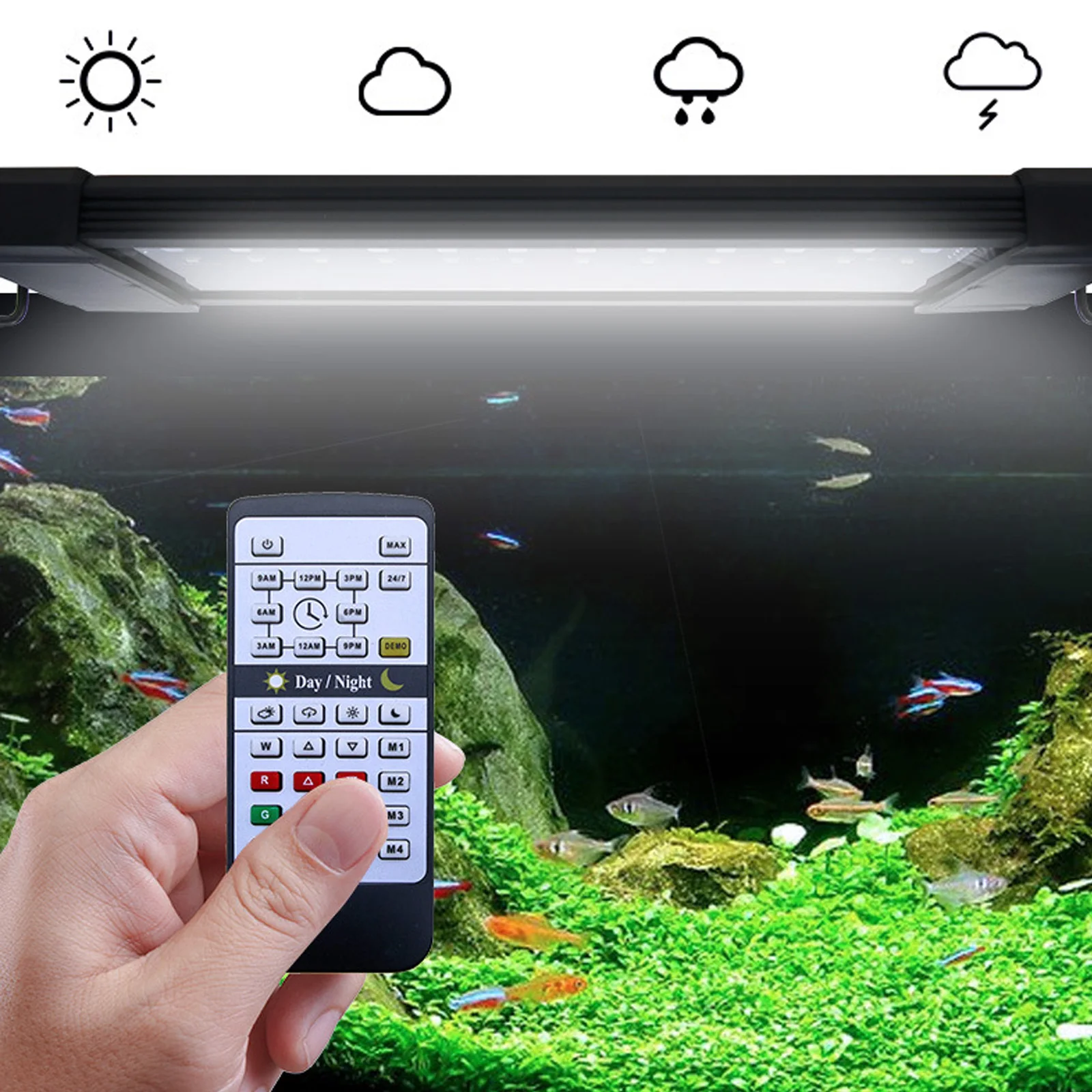 Liweida 24 Hours Natural Light - огляд і ціна Aquarium Plant Lab